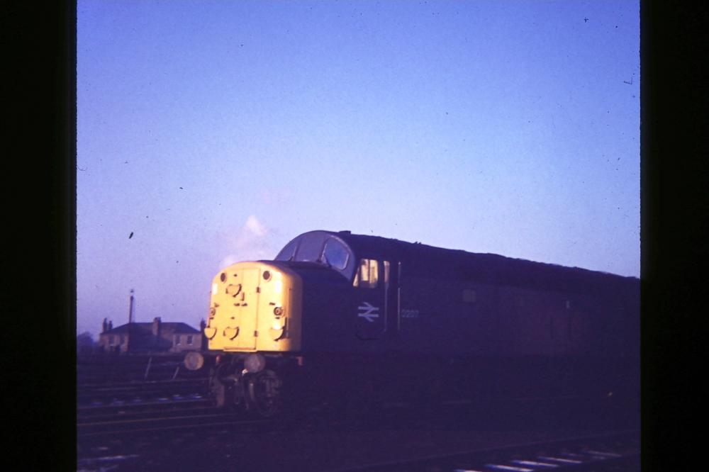 Class 40 On Shed At Springs Branch 1969/1970