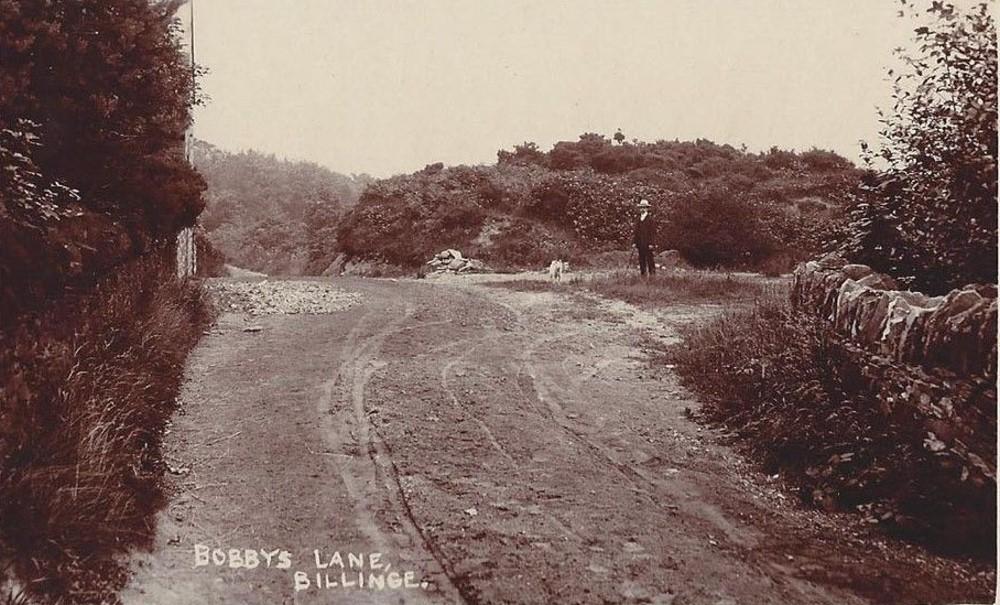 Bobby's Lane