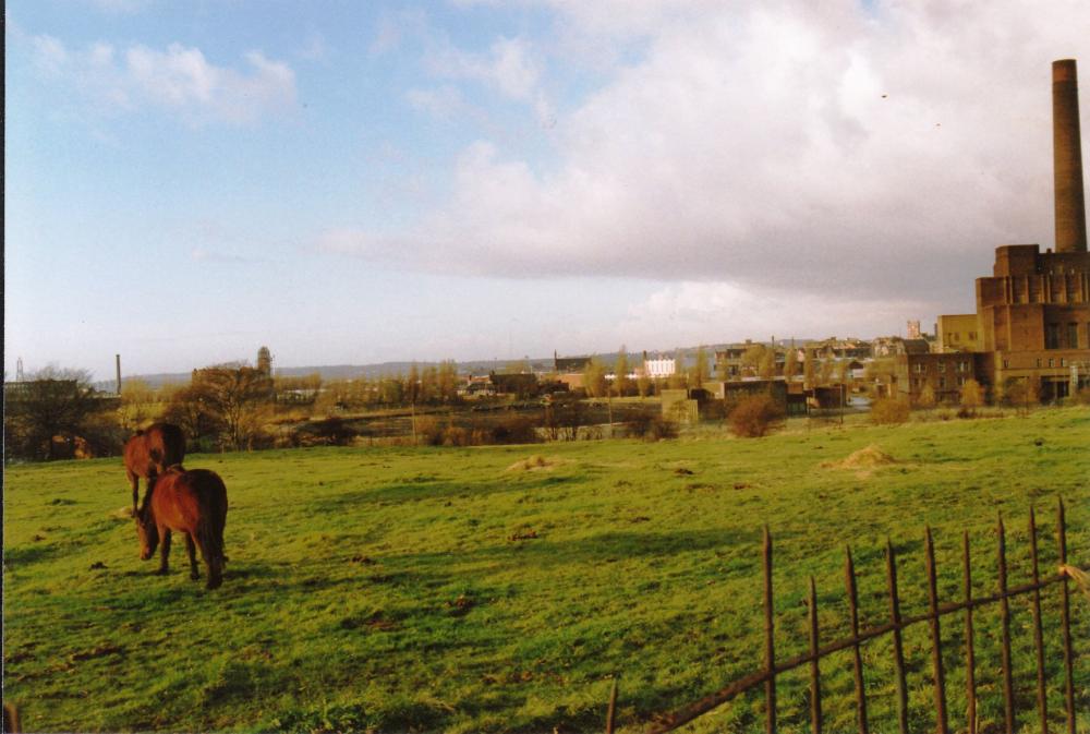 A field near Westwood Power Station Nov 1987