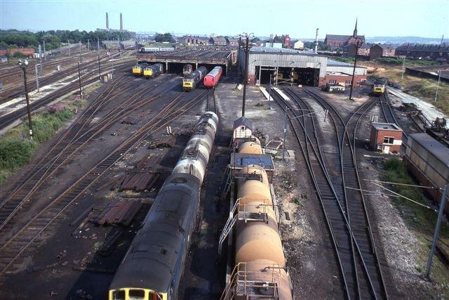 Springs Branch Loco Sheds, July 1975.