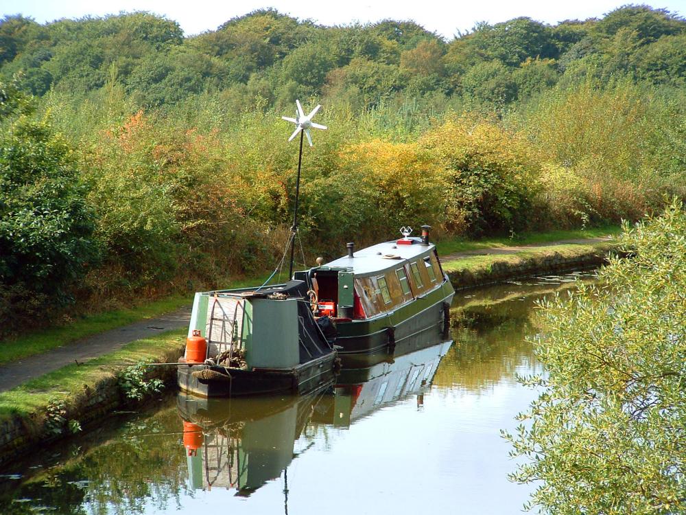 Greening The Canal