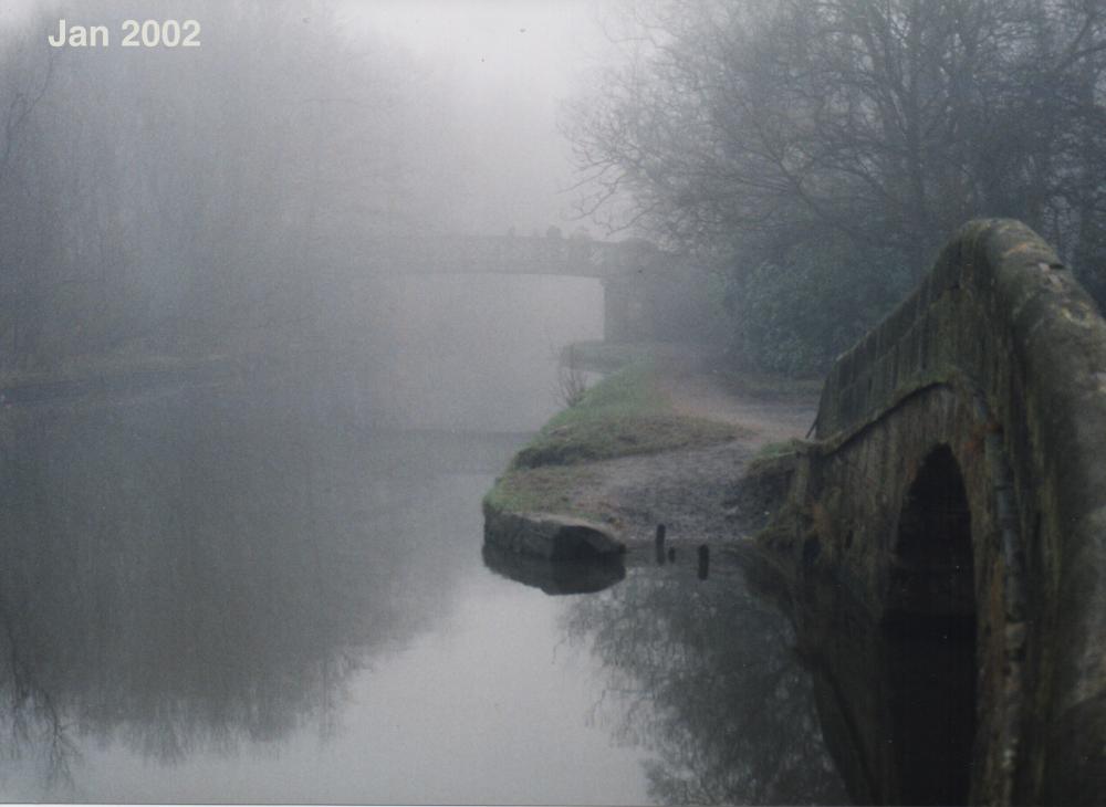 Fog on the Canal