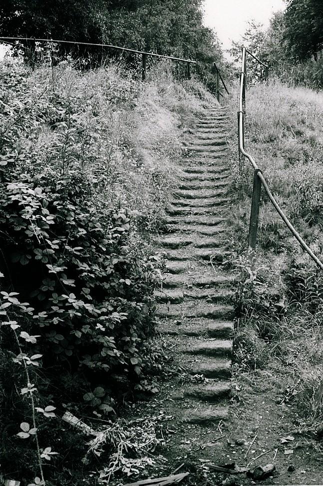 Steps, Summersales Colliery.