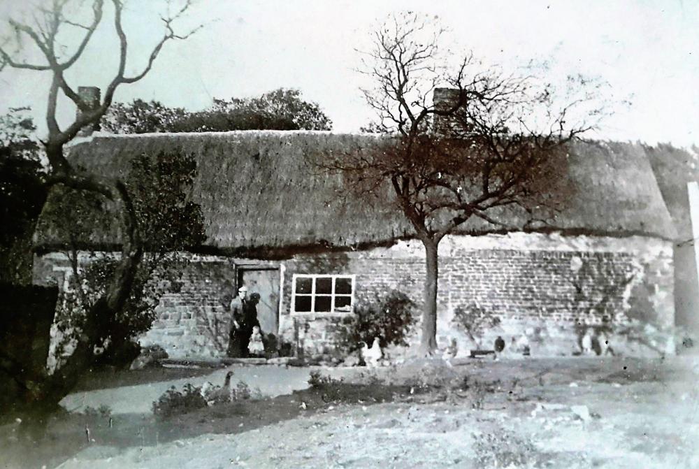 THE OLD THATCH