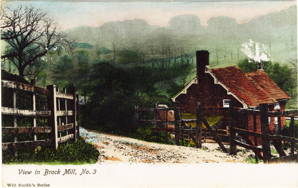 view in brock mill No 3