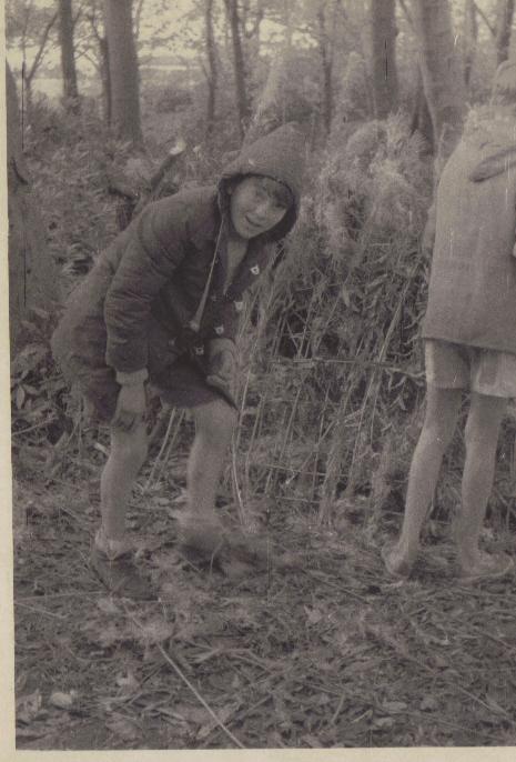 Ashton scouts camping 1952