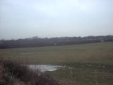 Valley area of Beech Hill.