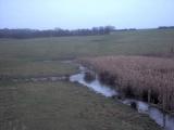 Valley area of Beech Hill.