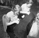 Garment making-up.