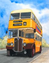 Newcastle Bus