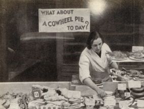 What about a Cowheel Pie? - Click for larger picture