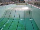 Wigan International Pool, Millgate, September 2008 Wigan International Pool, Millgate, September 2008