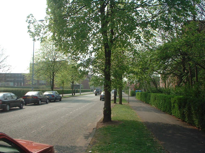 Mesnes Park Terrace, Wigan