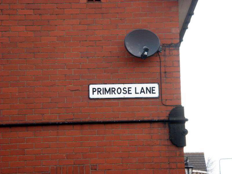 Primrose Lane, Standish