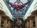 The Galleries at Christmas