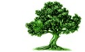Wigan Genealogy Wigan Genealogy