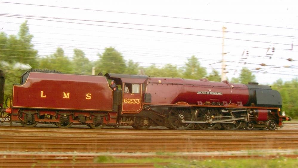 6223 Duchess Of Sutherland At Springs Branch