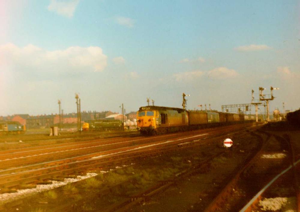 Springs Branch 1968