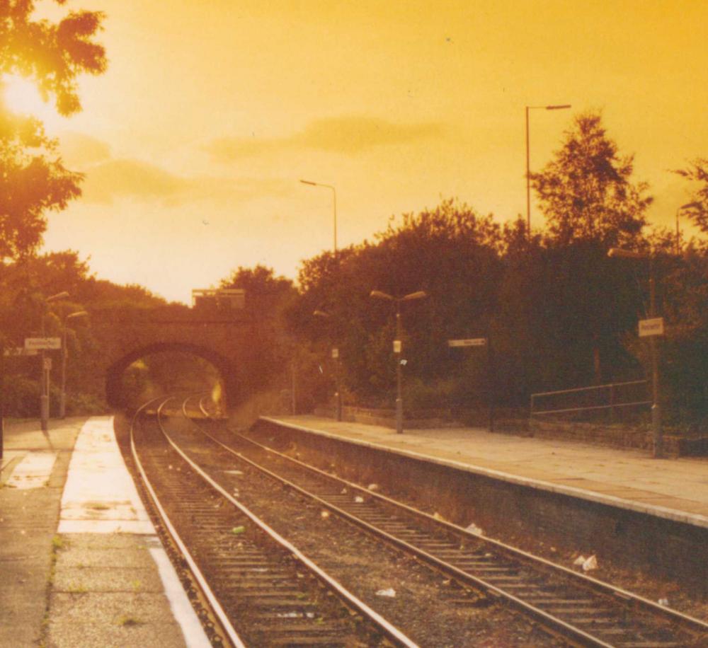 Evening Sunshine At  Pemberton 1990