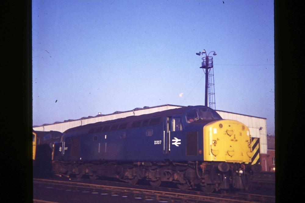 Class 40 On Shed At Springs Branch 1969