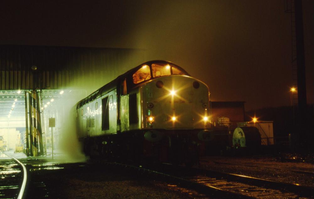 Springs Branch at night