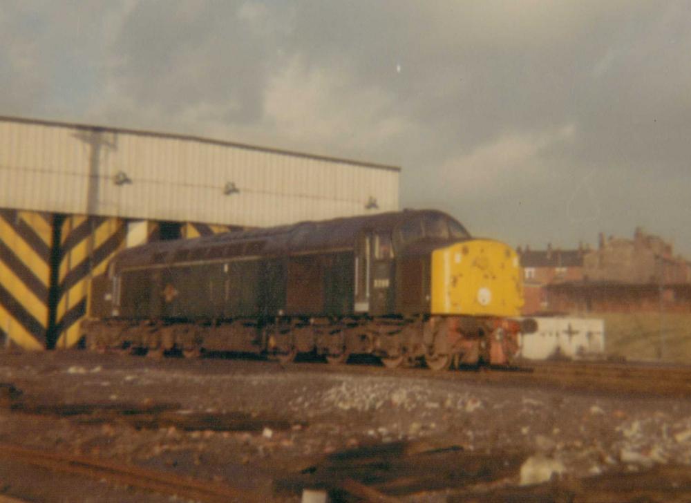 Class 40 On Shed At Springs Branch 1969