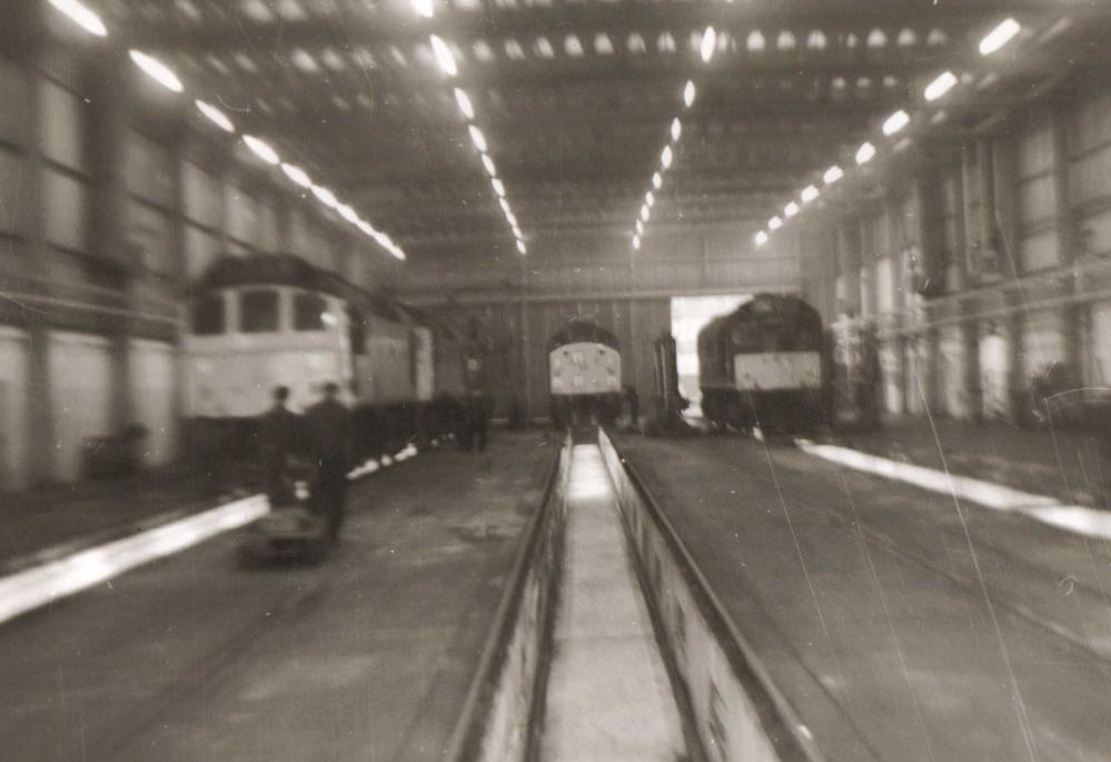 Inside Springs Branch Shed 1969