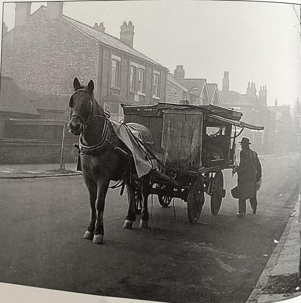 Man with his horse and cart