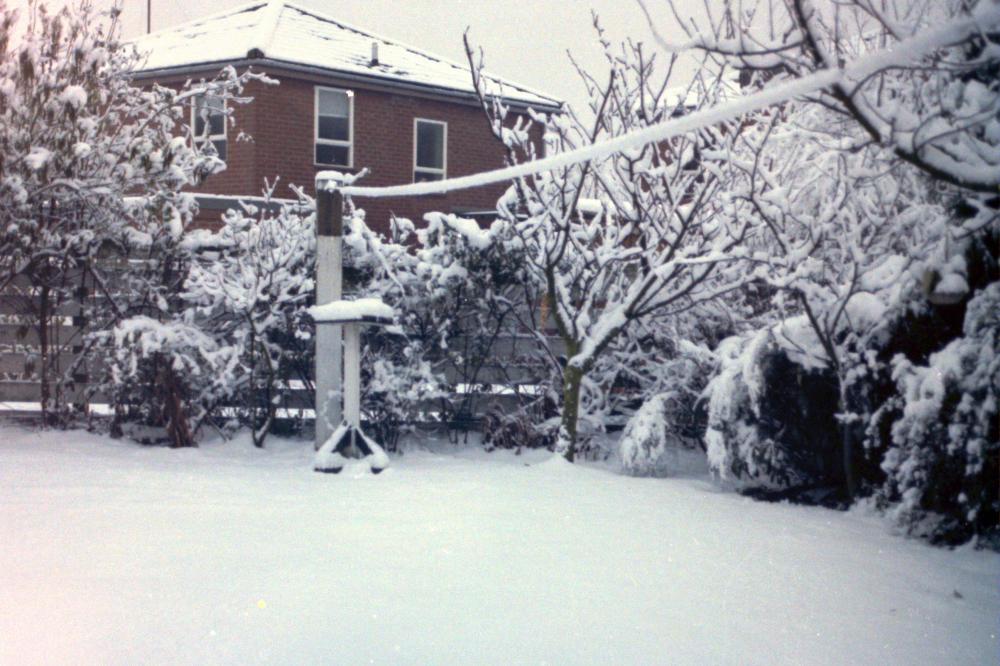 Gillan Road Garden Snow