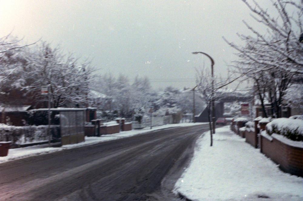 Buckley Street Snow