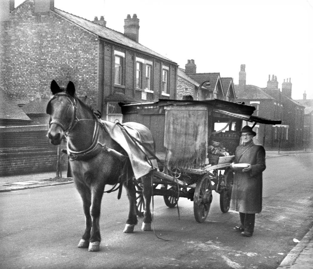 HORSE AND CART 2