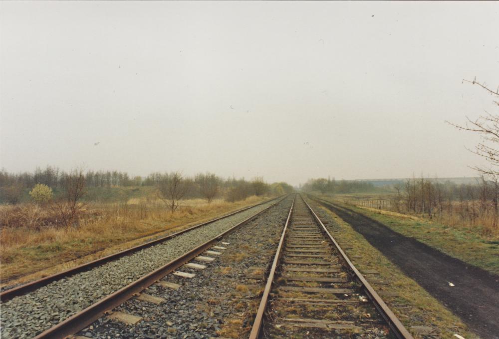 Springs Branch line 1996