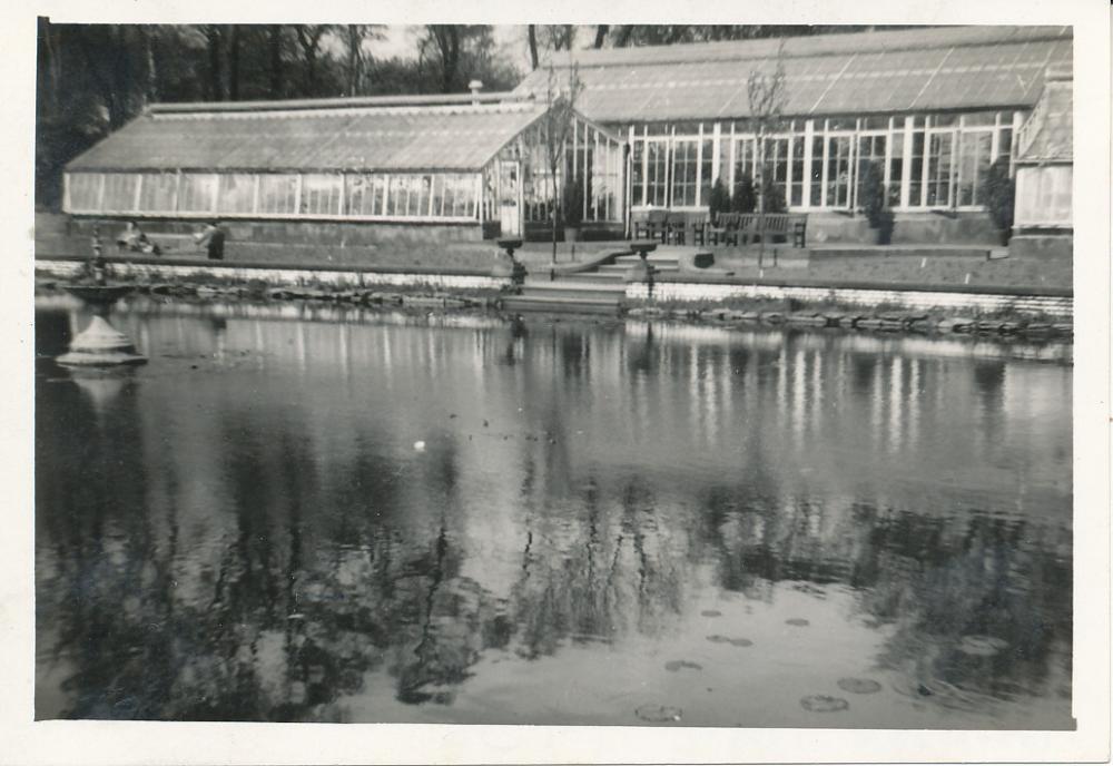 Haigh Hall Greenhouses - 1956
