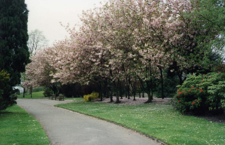 Mesnes Park in Spring.