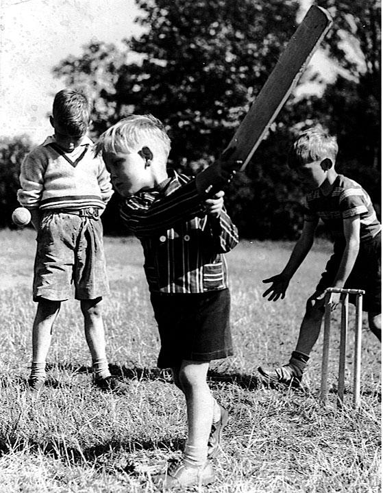 Cricket in Mesnes Park