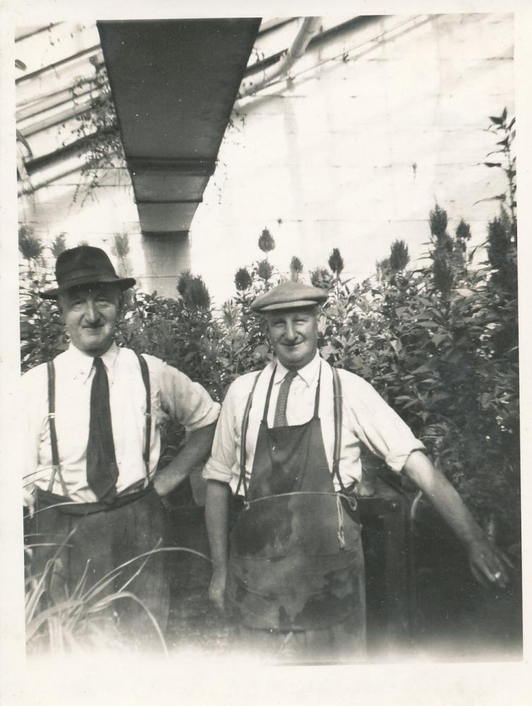 1951 - Mesnes Park Greenhouse