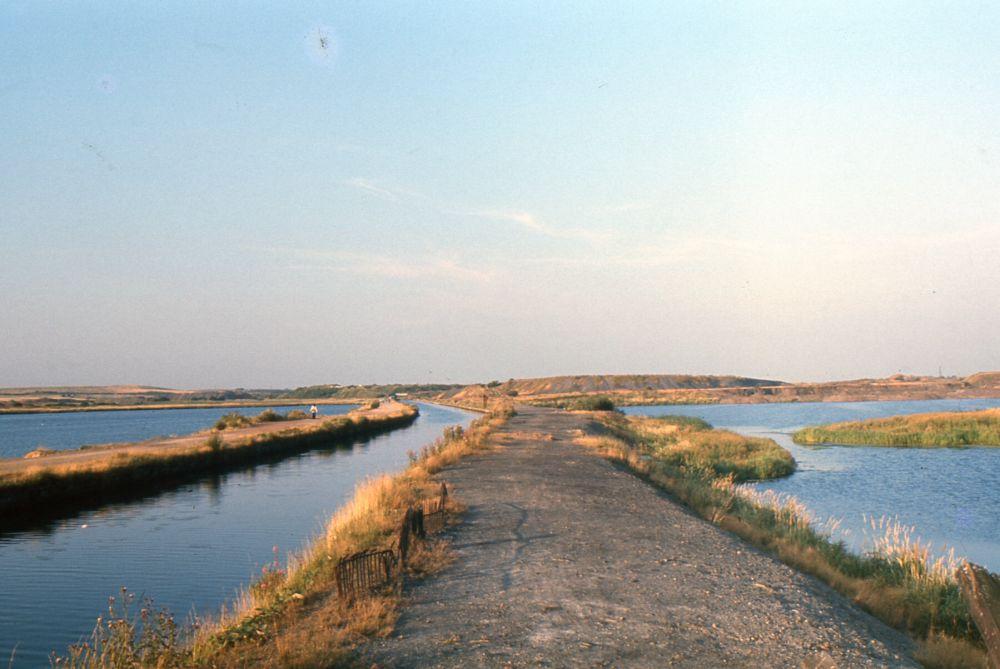 Canal at Scotman's Flash, c1982