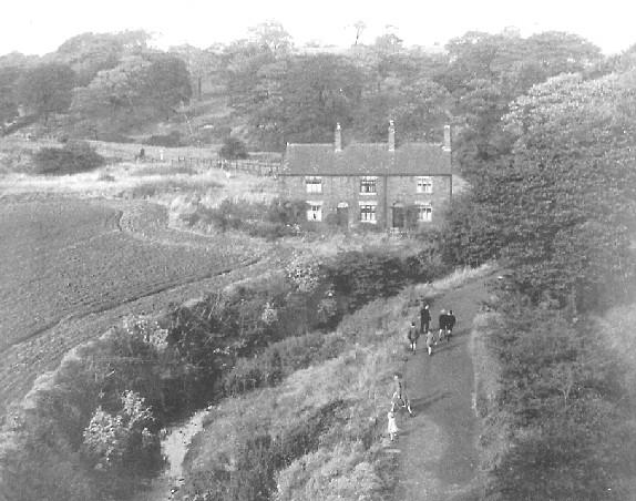 Borsdane Wood,  Hindley,  c1950