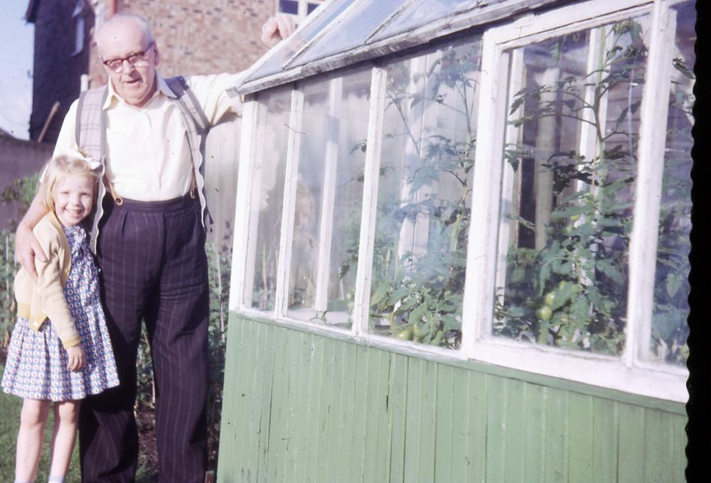 Grandad  with his greenhouse