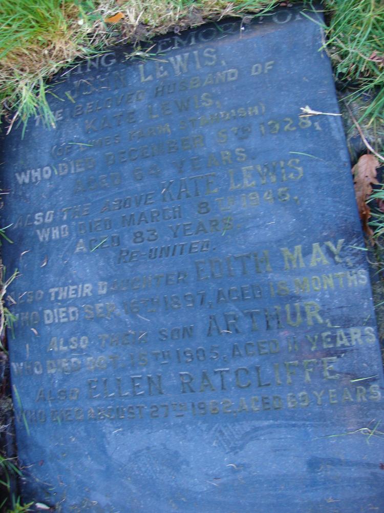 Graves of Lewis Family of The Limes