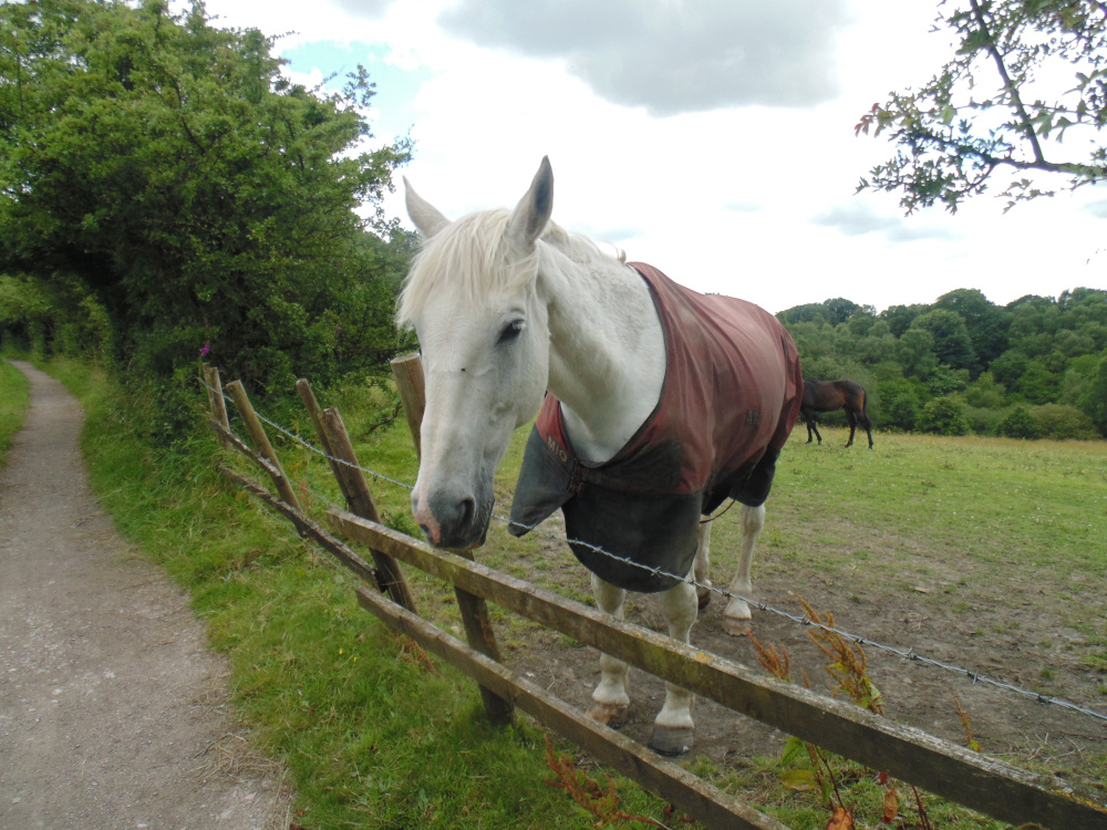 Charity Bike Ride, 6th July, 2024