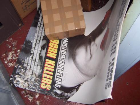 Film posters and bird muck
