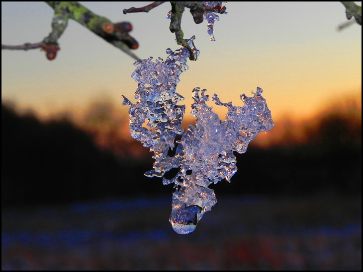 Sunset Frost
