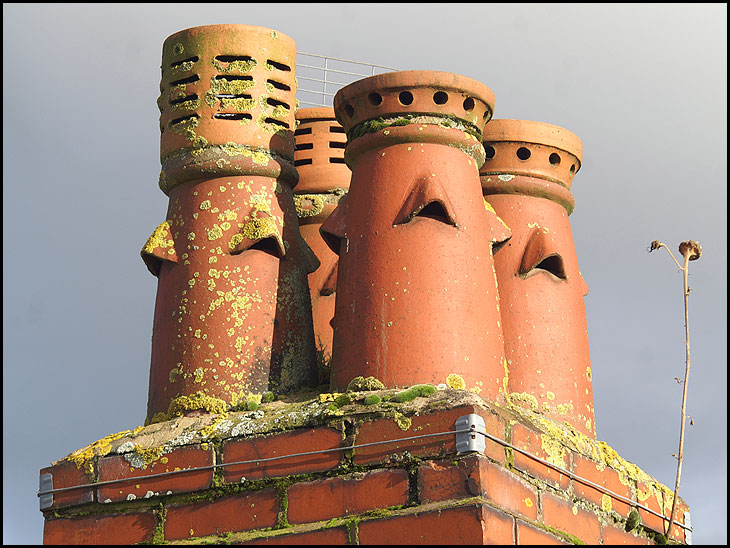 Chimney pots in Standish, with weed.