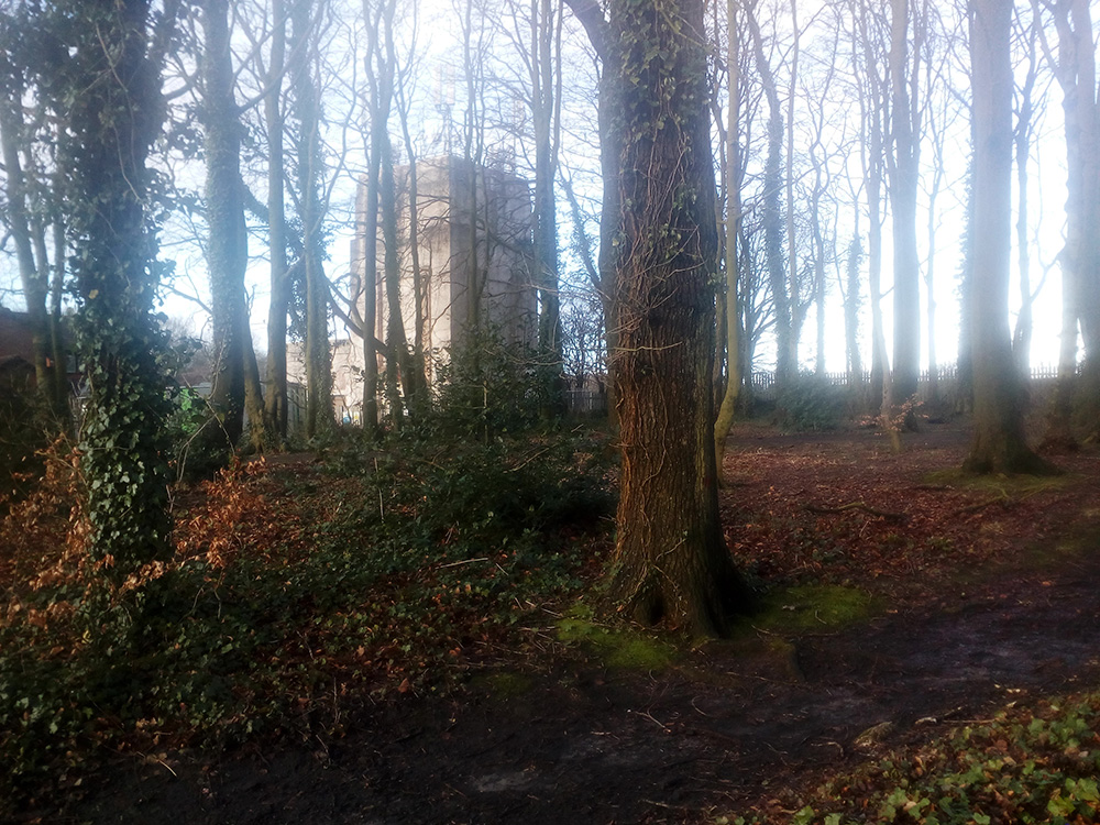White Tower in the Wood