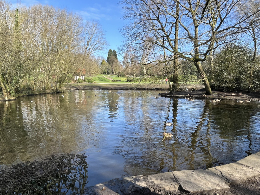 Reflections Of The Watery Kind