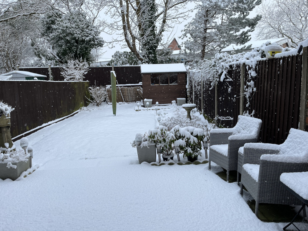 A Snowy Garden View