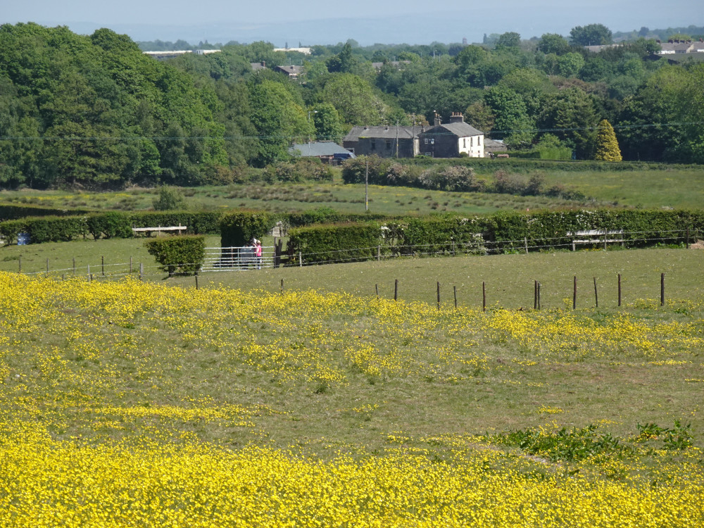 Barkers-De-Lane Farm