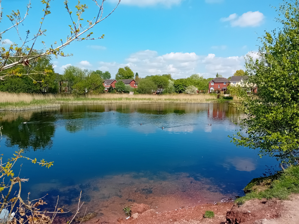 Lakeside Homes