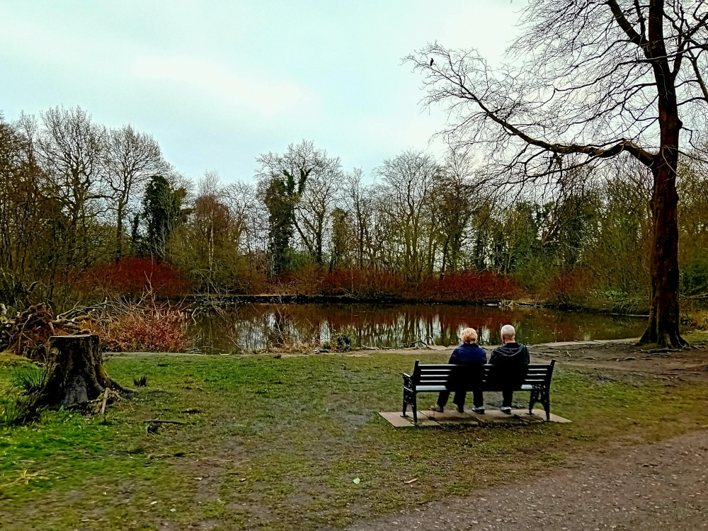 The Swan Pond